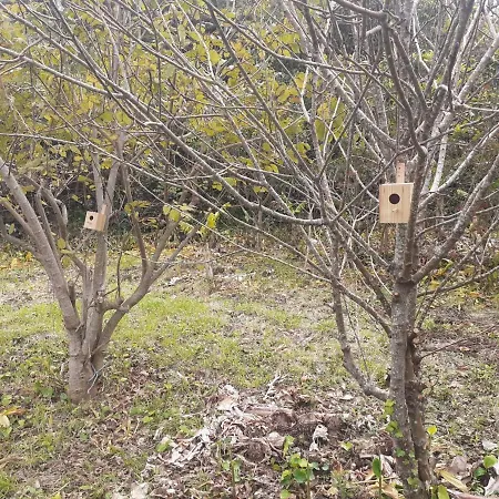 Adega Perola Feriehus