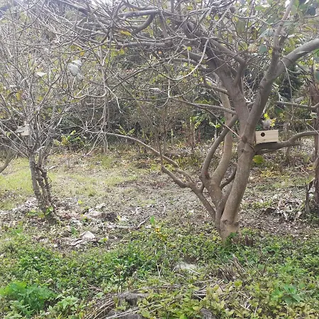 Feriehus Adega Perola *