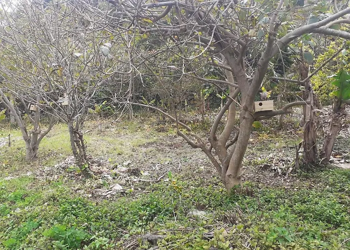 בית נופש Adega Perola *